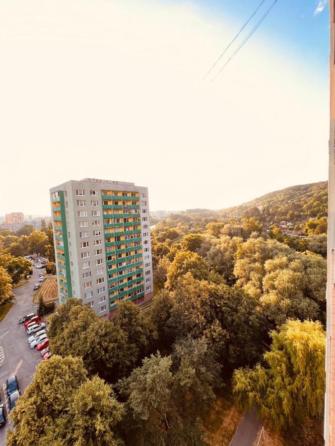 Sparrow Apartmens 3 Leilighet Košice Eksteriør bilde